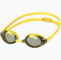 Speedo Vanquisher 2.0 Mirrored