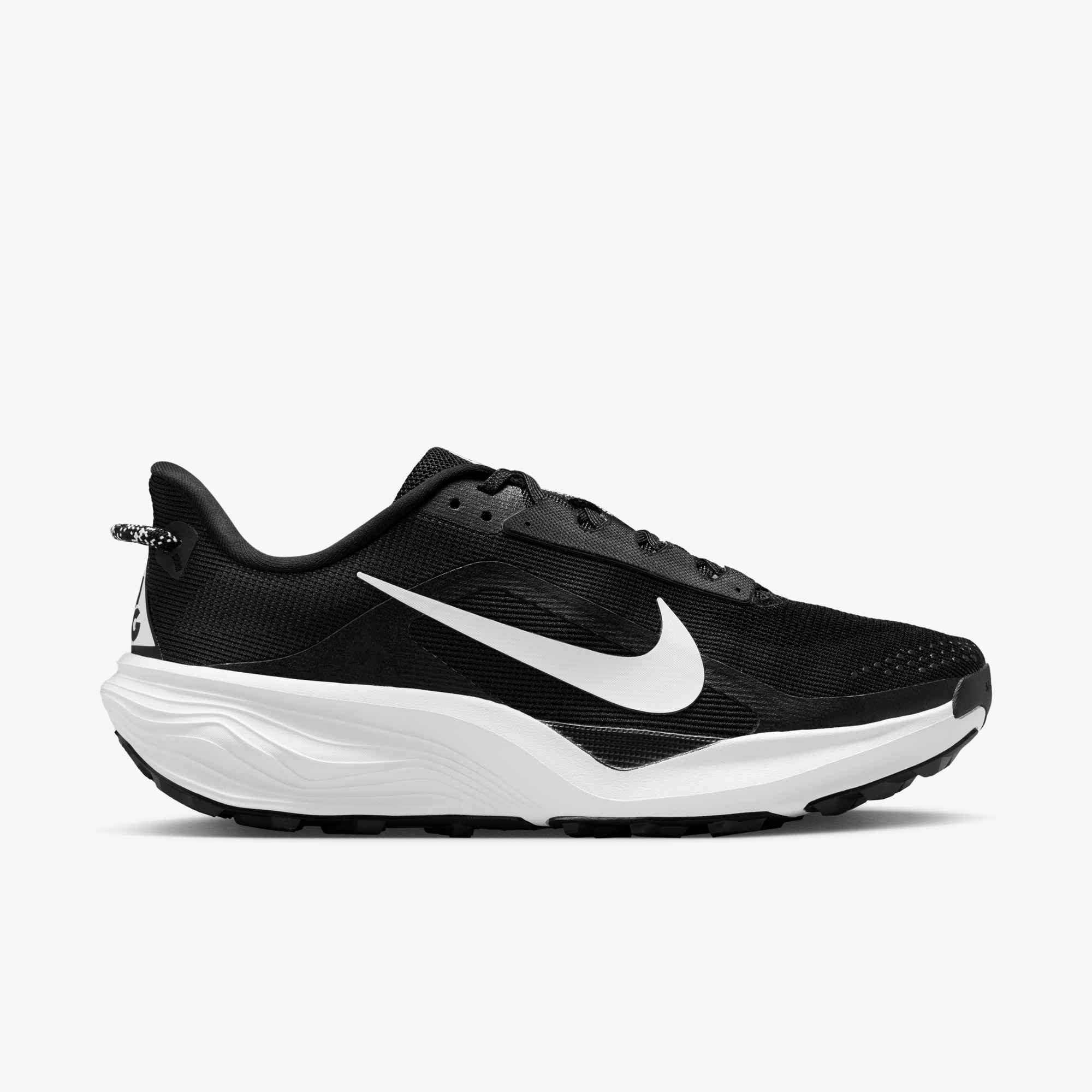 Nike Men's ACG Pegasus Trail