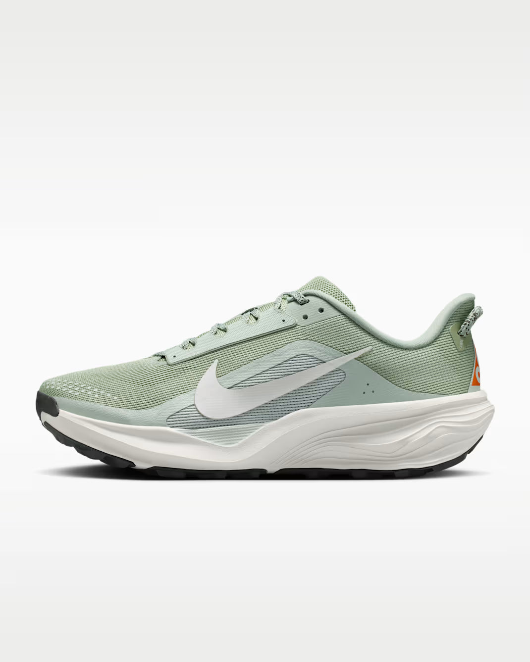 Nike Men's ACG Pegasus Trail