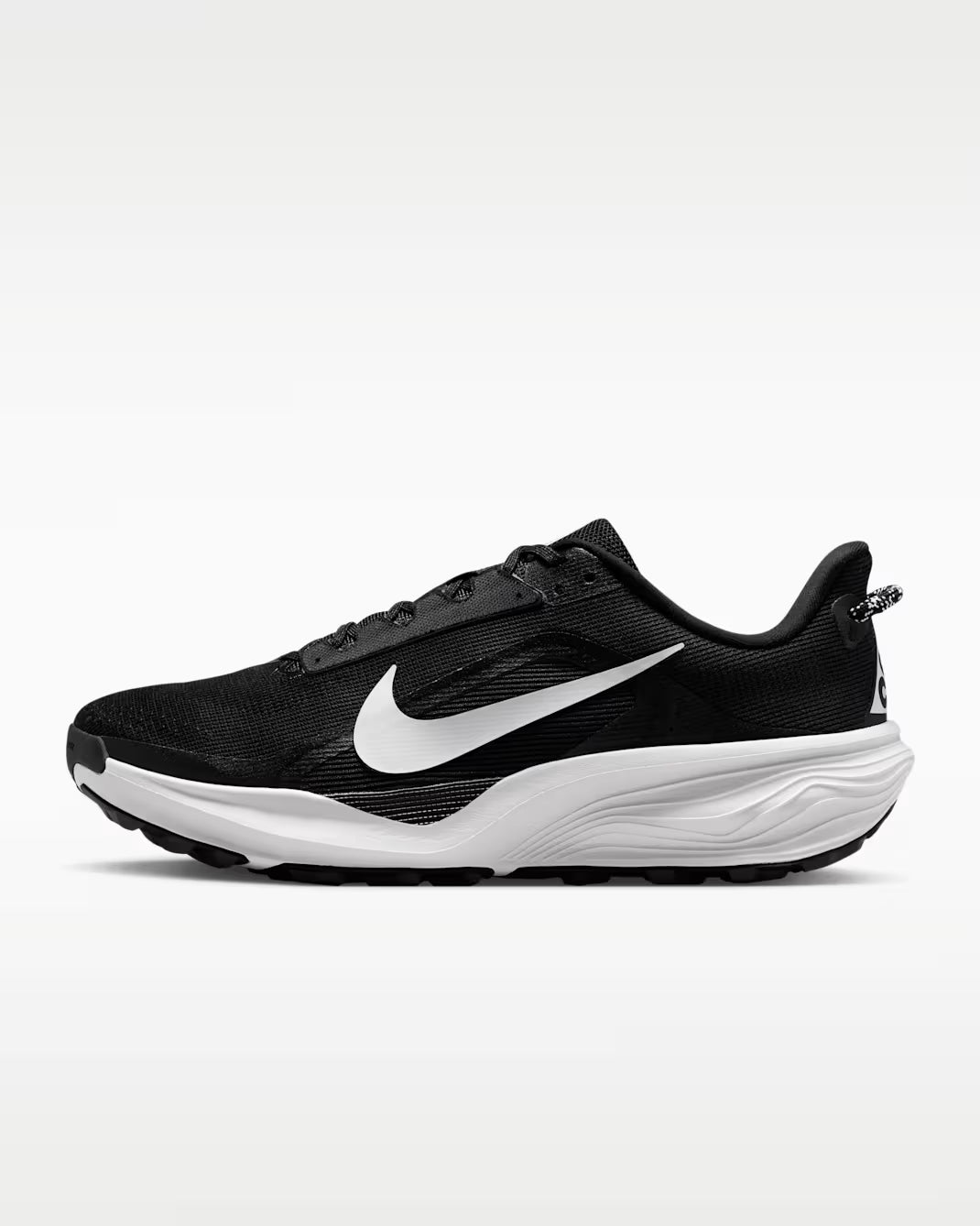 Nike Men's ACG Pegasus Trail