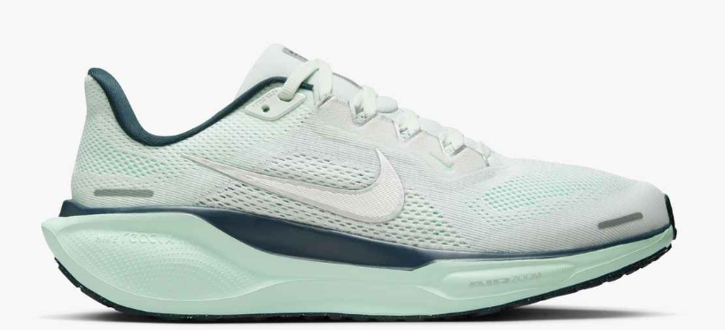 Nike Women's Pegasus 41