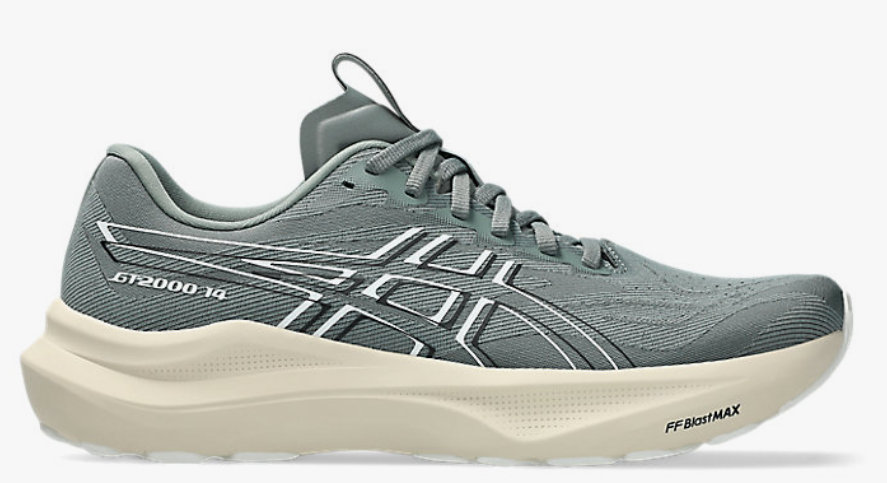 Asics Men's GT-2000 14