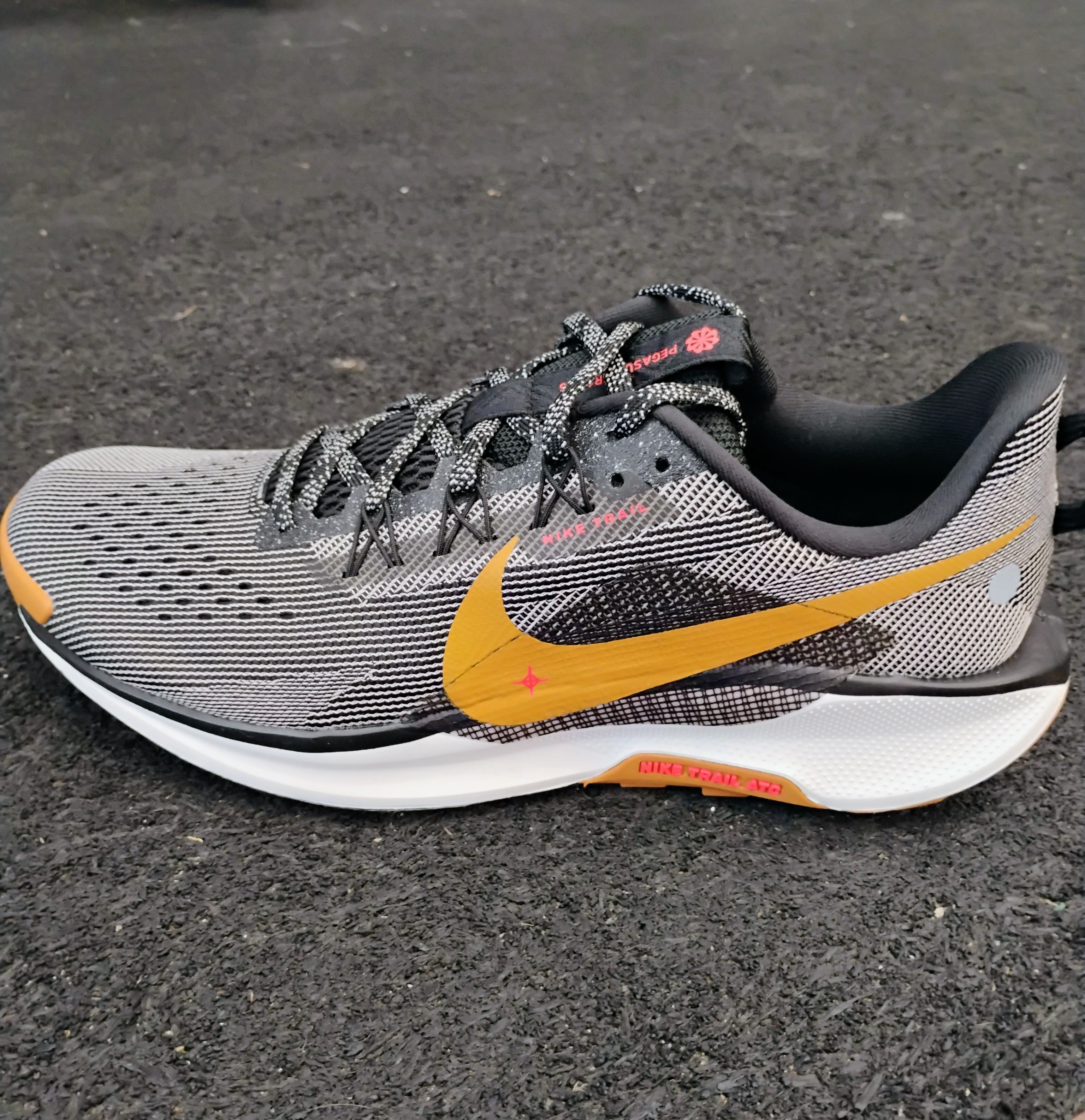 Nike Men's Pegasus Trail 5